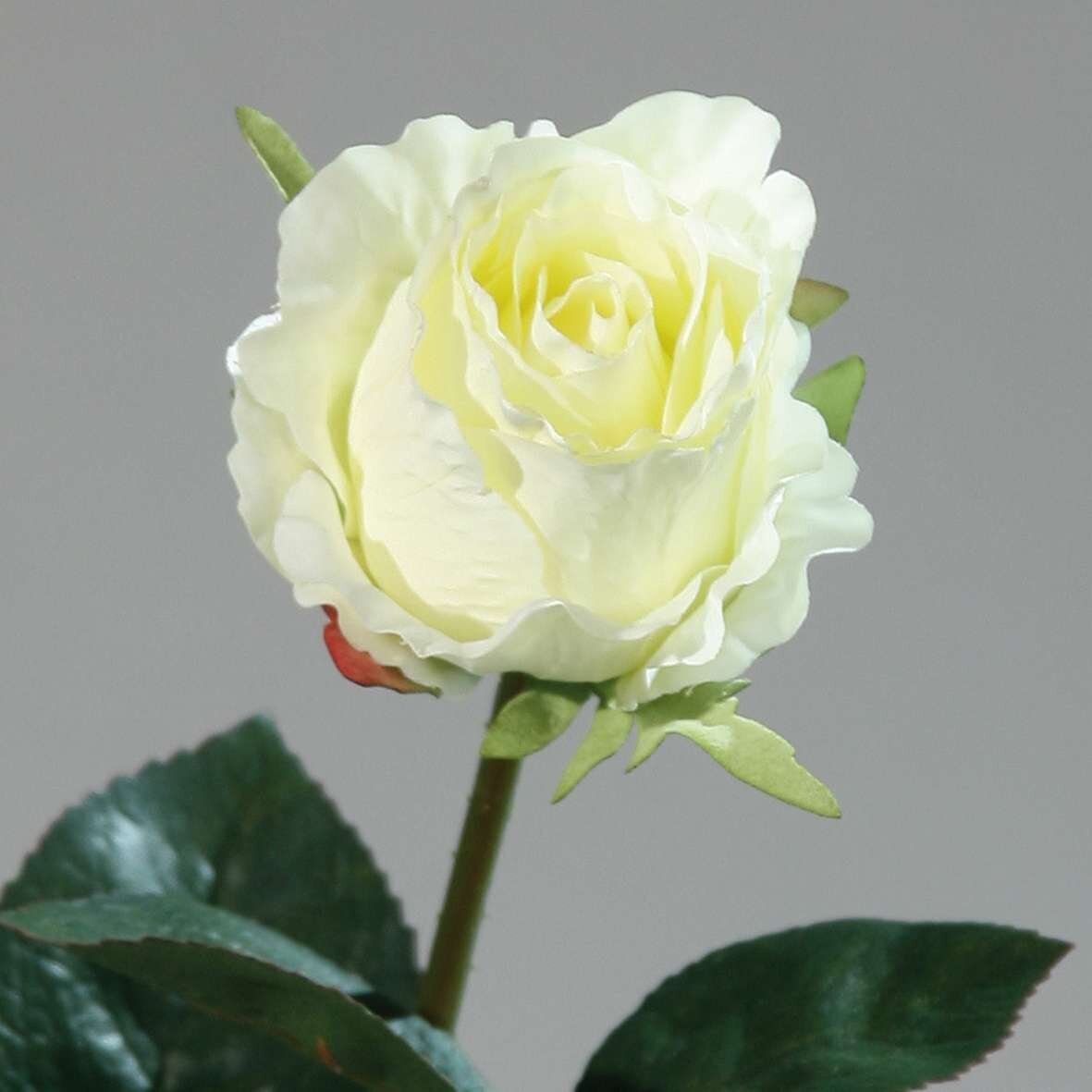 pflanztopf rund 50 cm Pflanztopf Prisma RUND - EIN glnzender Auftritt - H: 50cm - hochwertiger  Kunststoff