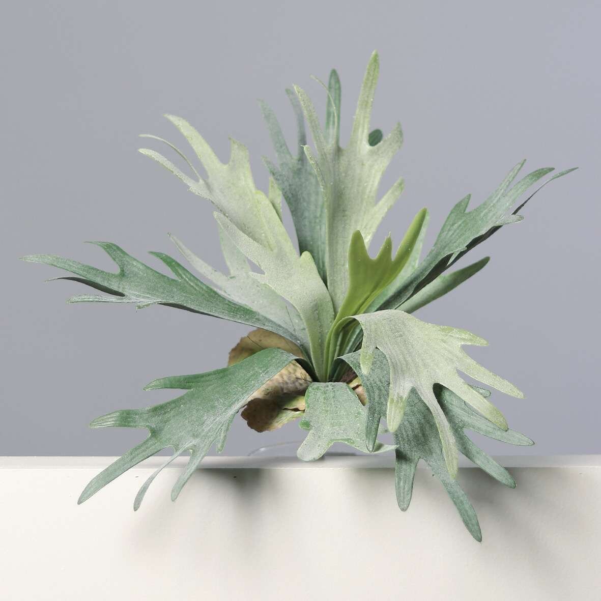 Geweihfarn, knstlich | SBS | Seidenblumen.Shop