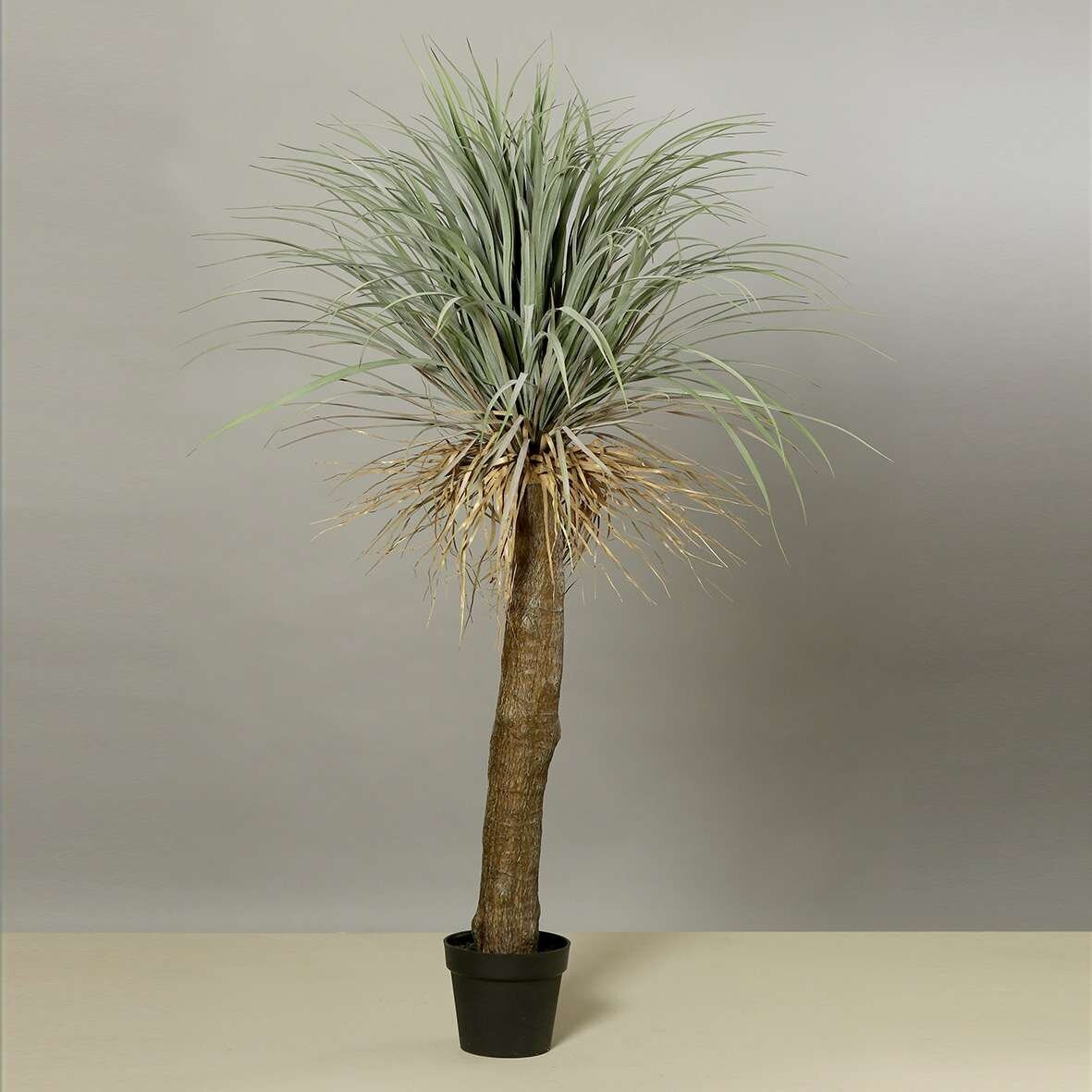 Knstliche Yuccapalme | SBS | Seidenblumen.Shop