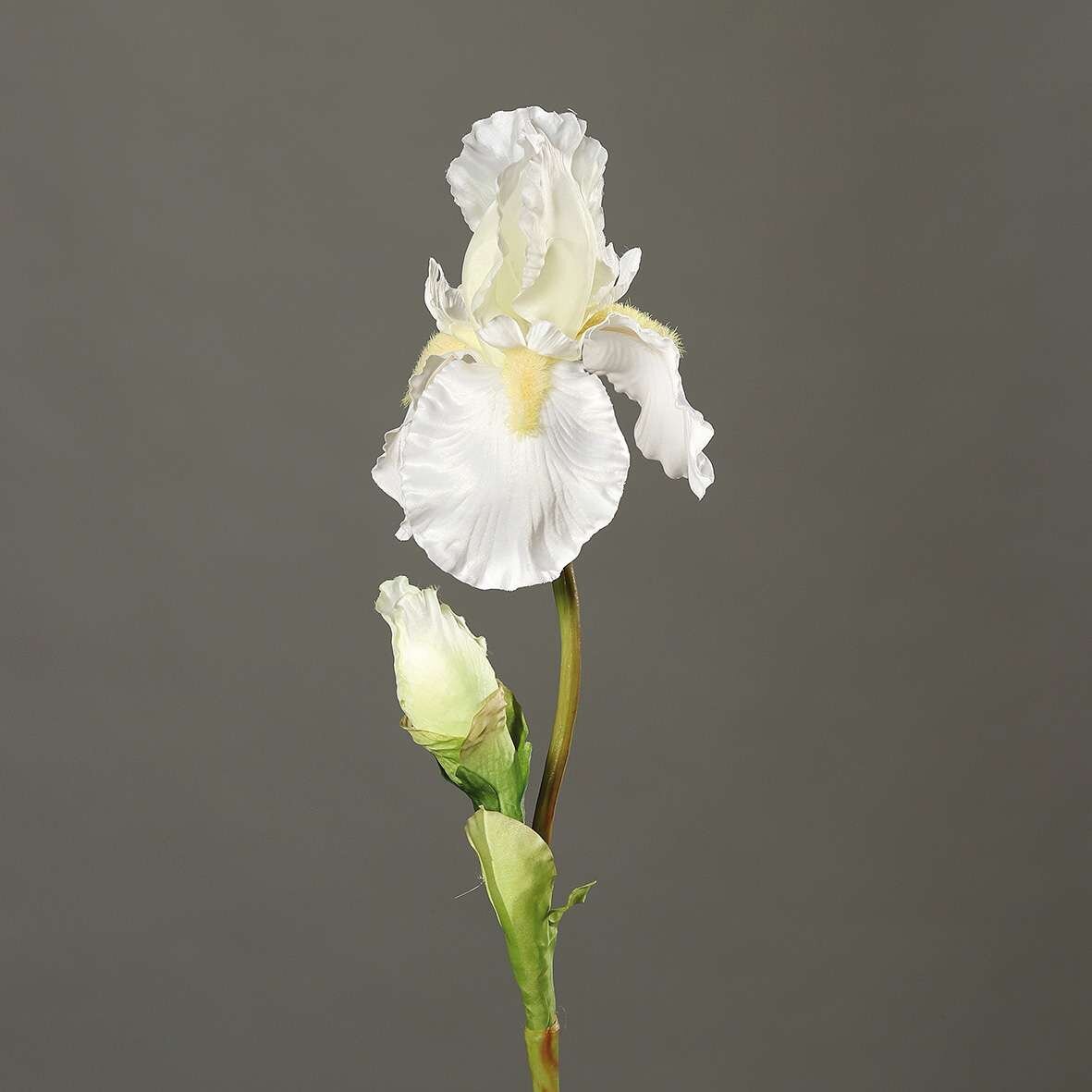Künstlliche Iris Pflanze von SBS günstig bestellen