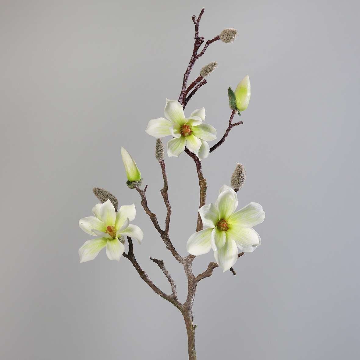 Magnolien Zweig, knstlich | SBS | Seidenblumen.Shop
