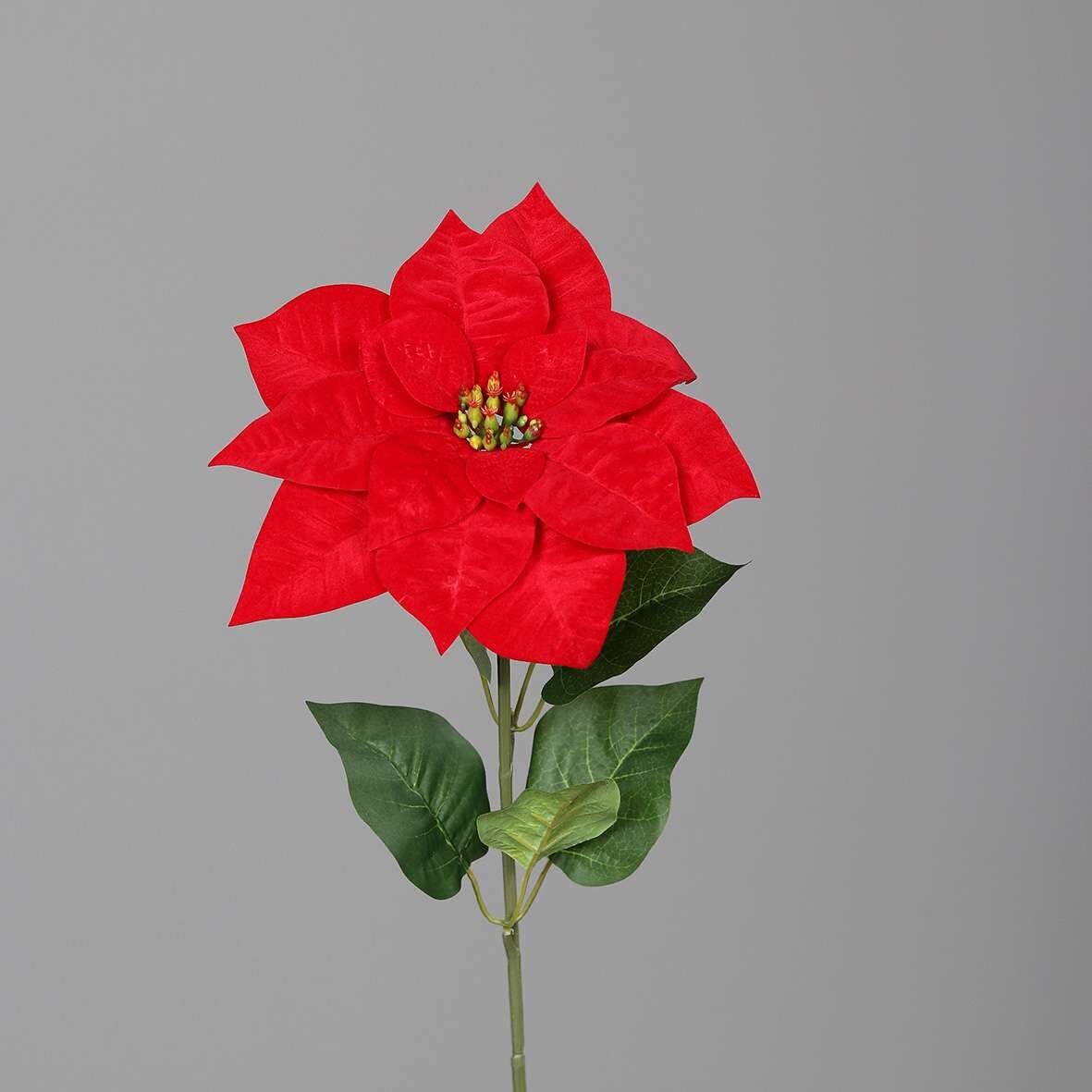 Poinsettia Weihnachtsstern Stil, knstlich | SBS | Seidenblumen.Shop
