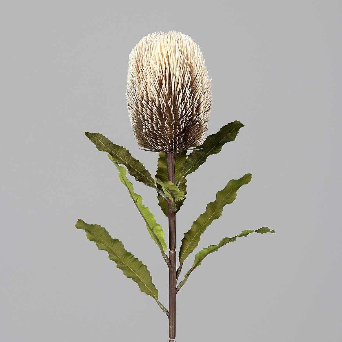 Protea, fein, knstlich | SBS | Seidenblumen.Shop