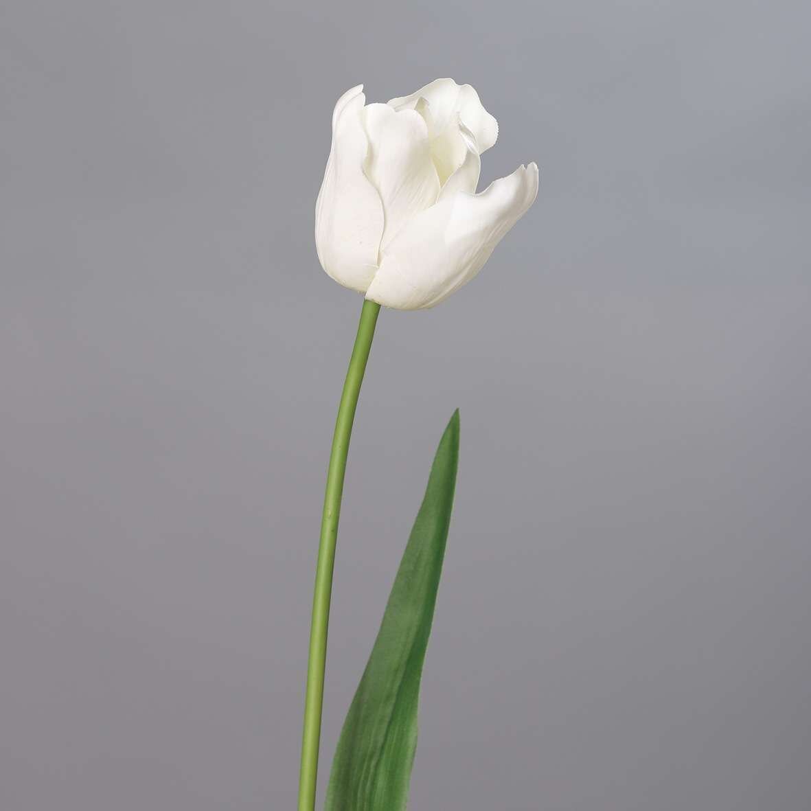 Tulpe XL, knstlich | SBS | Seidenblumen.Shop