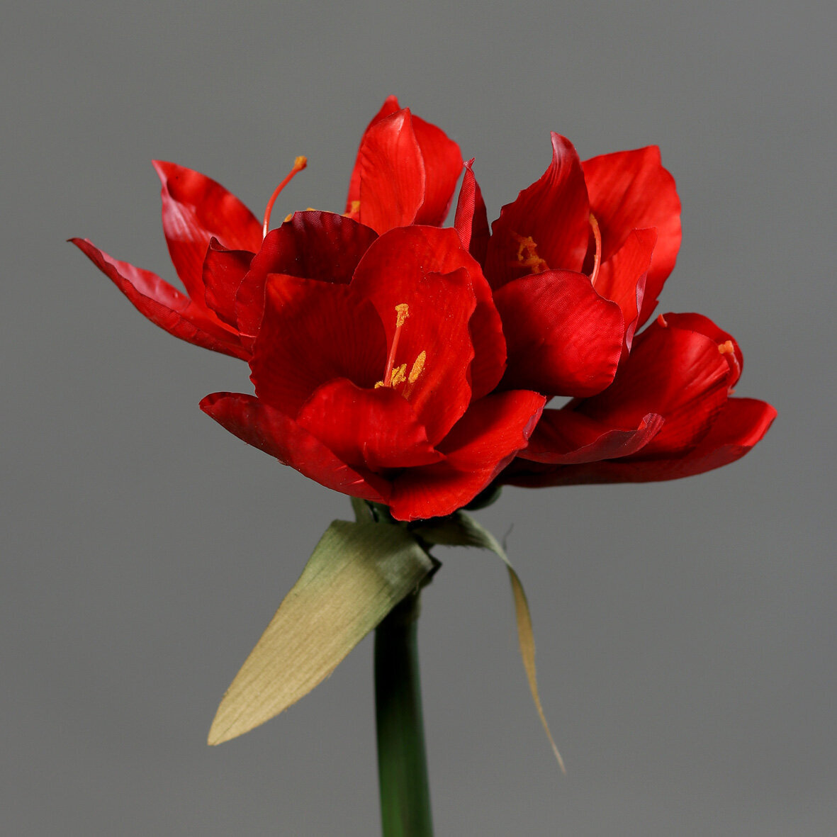 Amaryllis knstlich | SBS | Seidenblumen.Shop