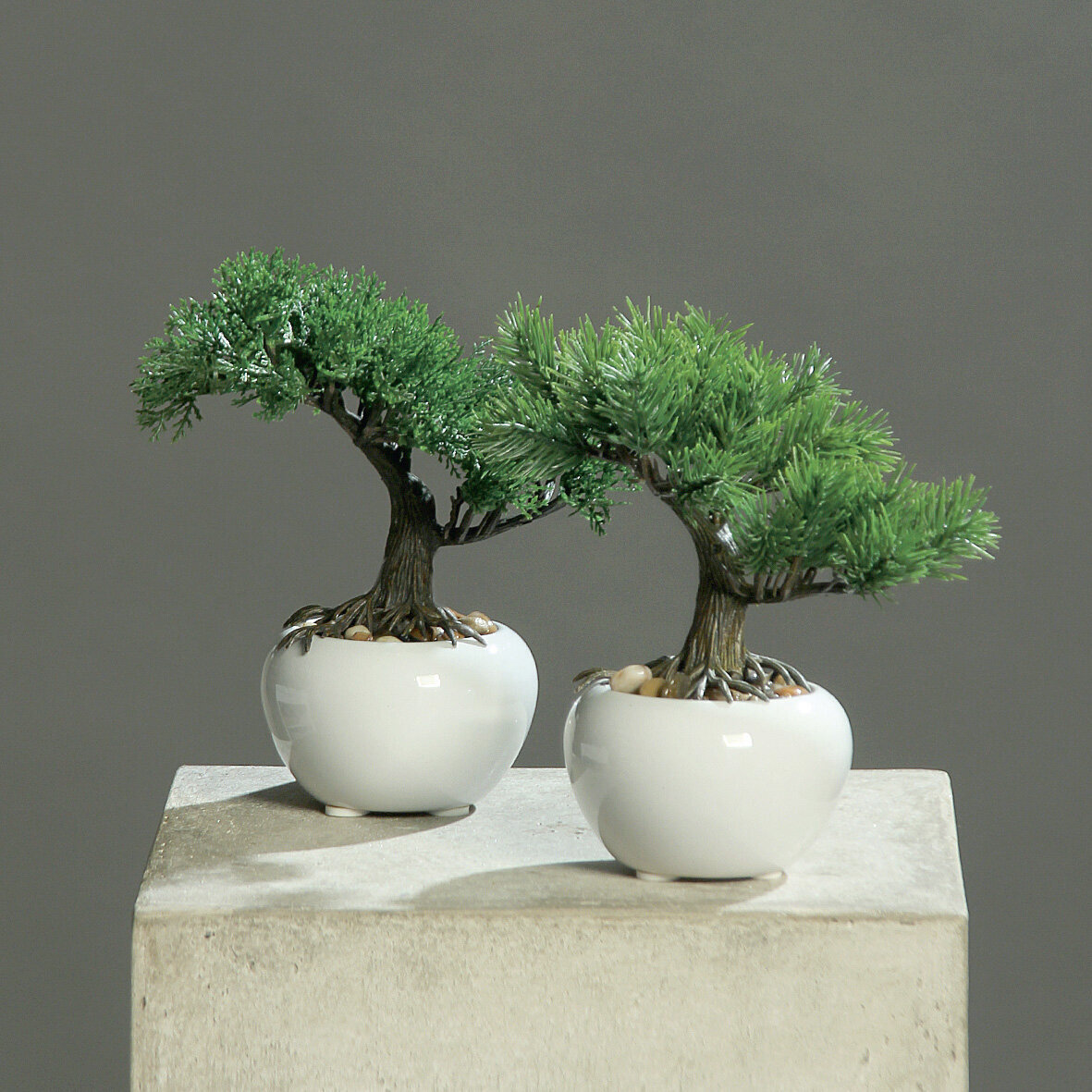 bonsai han kengai Artificial Bonsai】Mini_0056 Hankengai main image 0