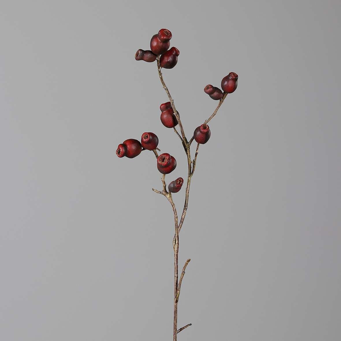 Eukalyptus Fruchtstand Zweig, knstlich | SBS | Seidenblumen.Shop