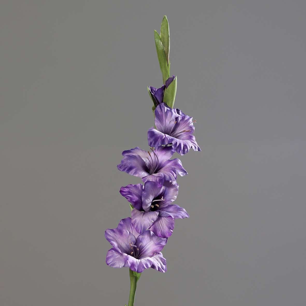 Knstliche Gladiole mit 4 Blten und 2 Knospen | SBS | Seidenblumen.Shop