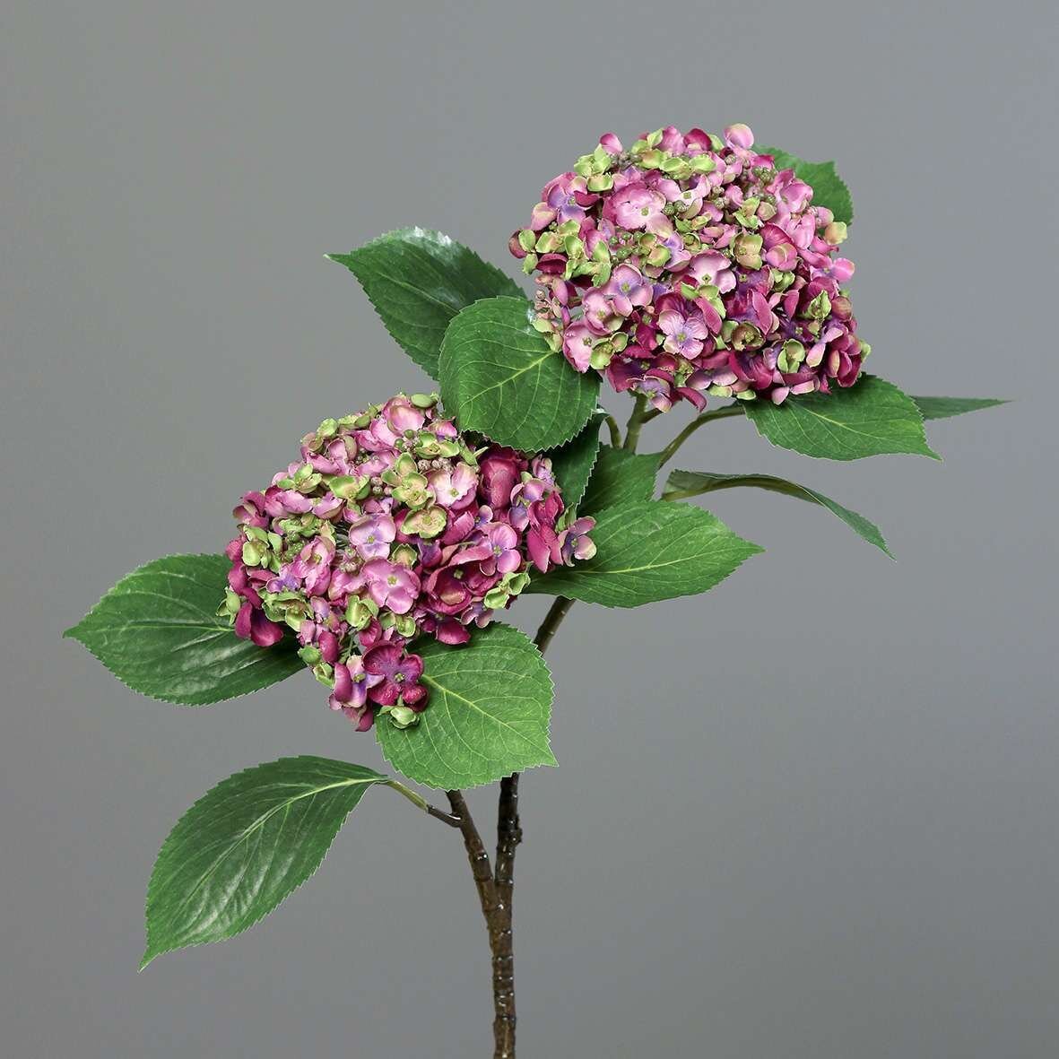Knstliche Hortensie mit 2 Bltenkpfen | SBS | Seidenblumen.Shop