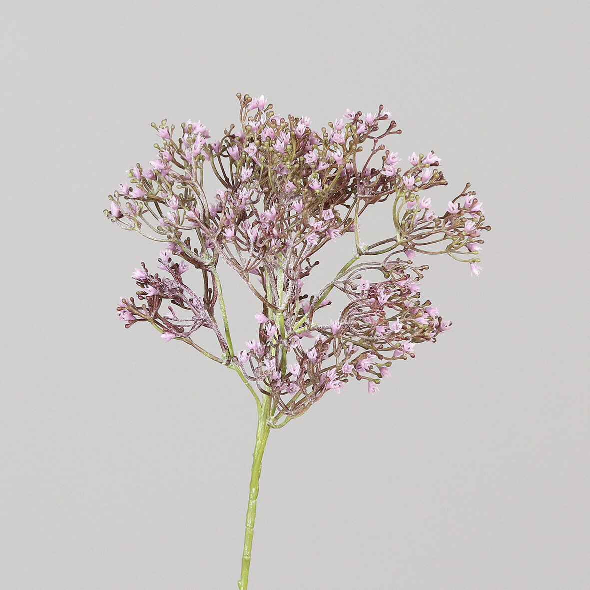 Schleierkraut Zweig, knstlich | SBS | Seidenblumen.Shop