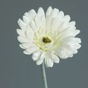 Gerbera, Einzelstielblume, künstlich 56 cm, creme